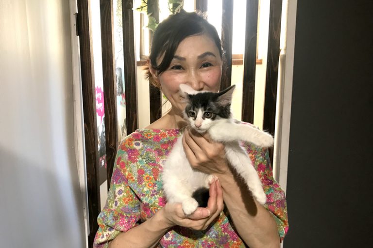 大阪 大正区から にゃんこたちの家族を探してます 癒しの保護猫カフェ Nyankocafe 大正labo